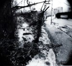 2683_1055866951970_1204611_n